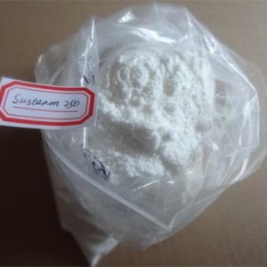 sustanon 250 cycle