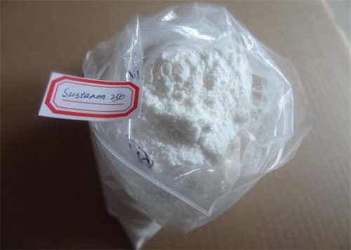 sustanon 250 cycle