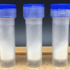 thymosin alpha 1 supplement